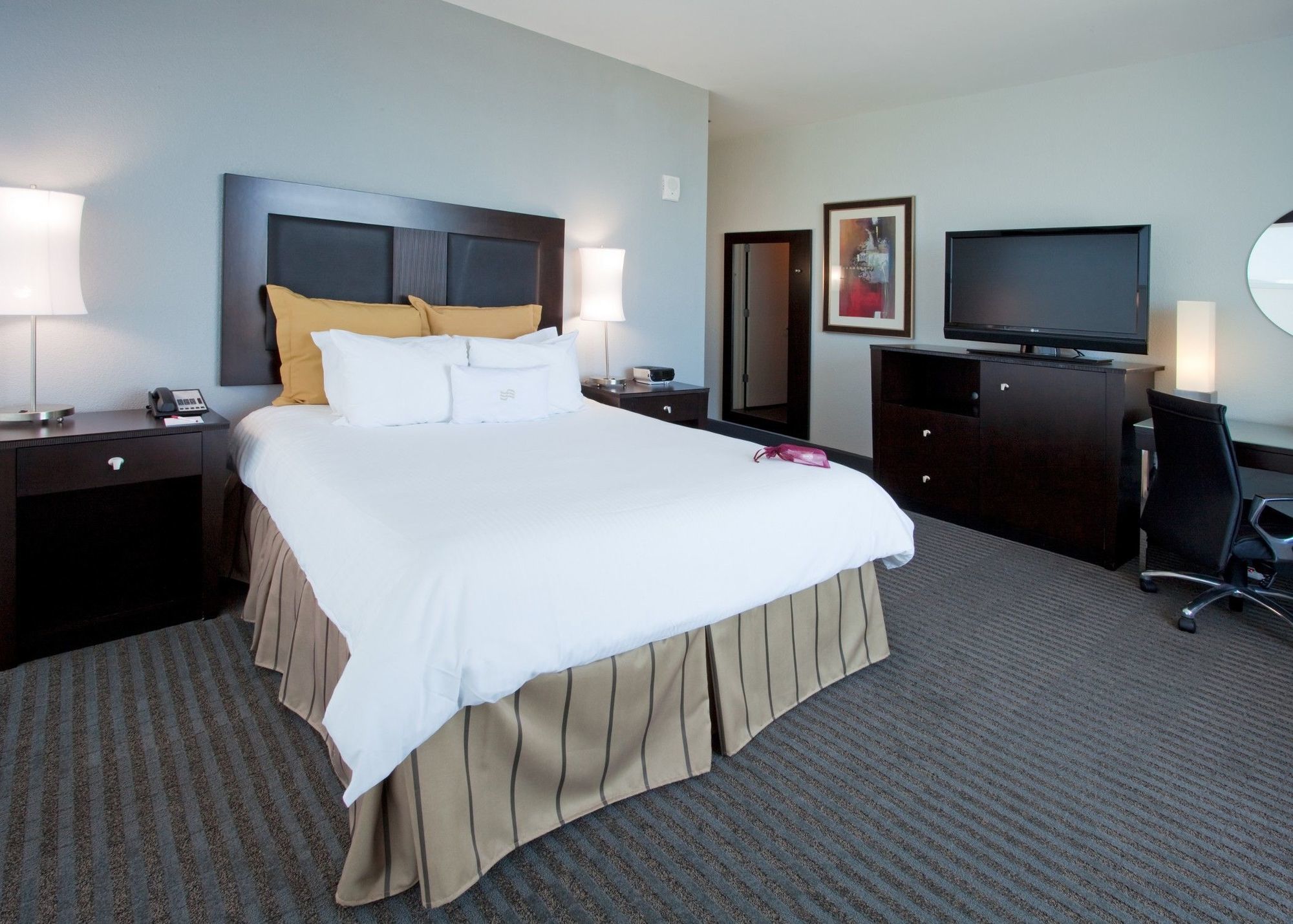 Hotel Alba Tampa, Tapestry Collection By Hilton Værelse billede